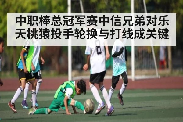 中职棒总冠军赛中信兄弟对乐天桃猿投手轮换与打线成关键